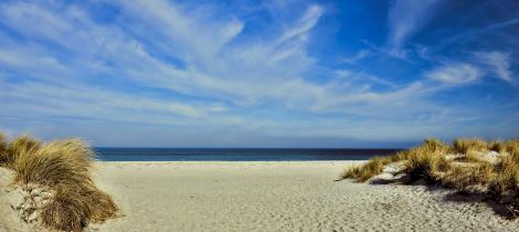 dune-landscape-4886912_1920