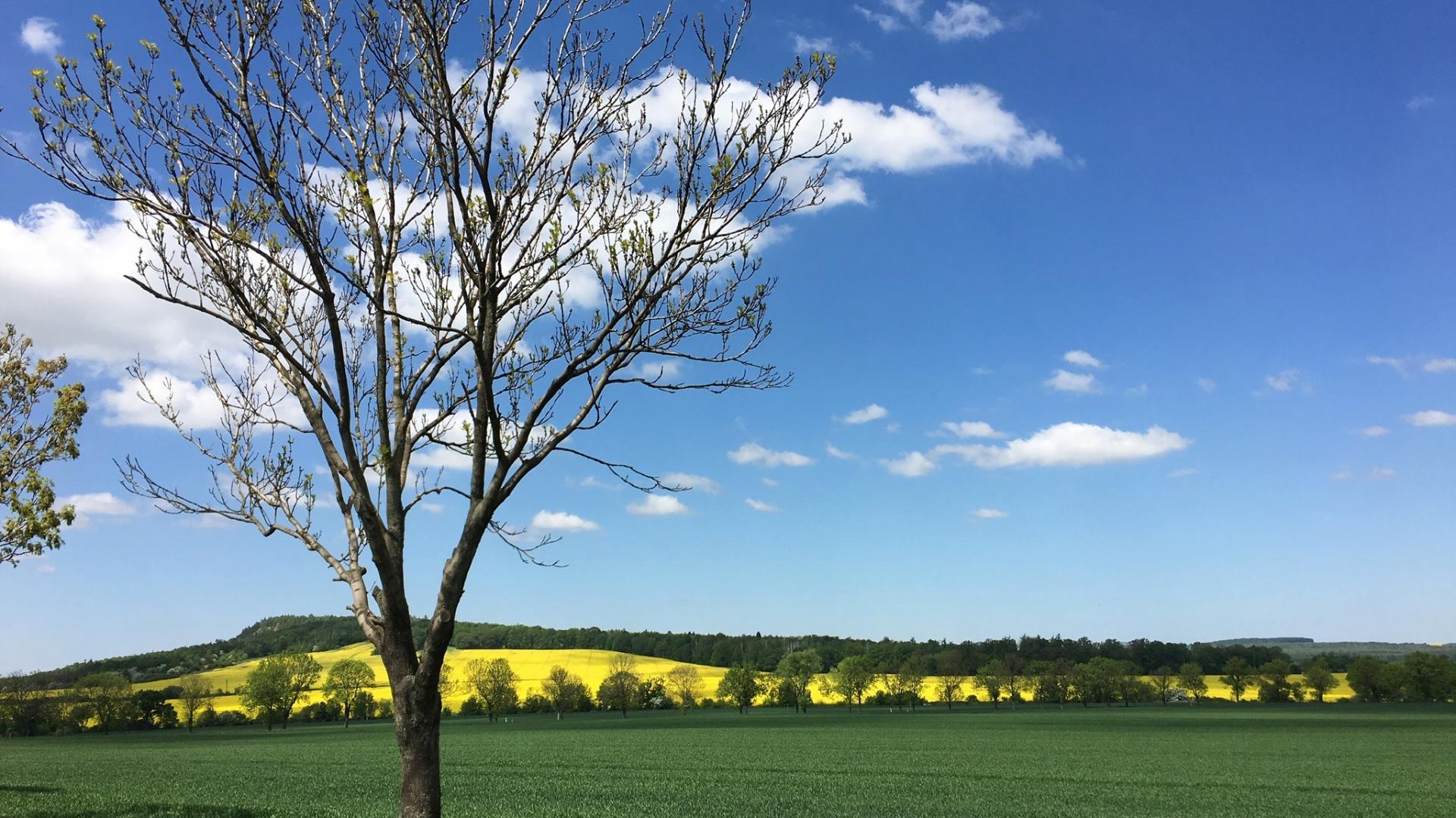 lower-silesia-travel