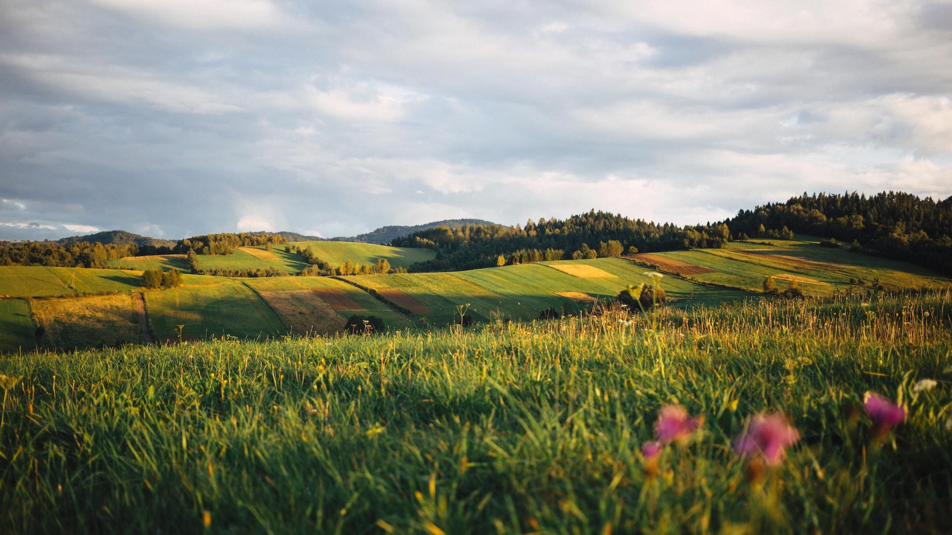 poland-nature-tours