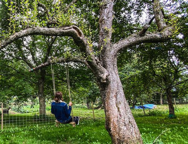 sustainable-travel-poland