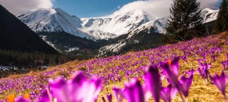 poland-spring-tatry
