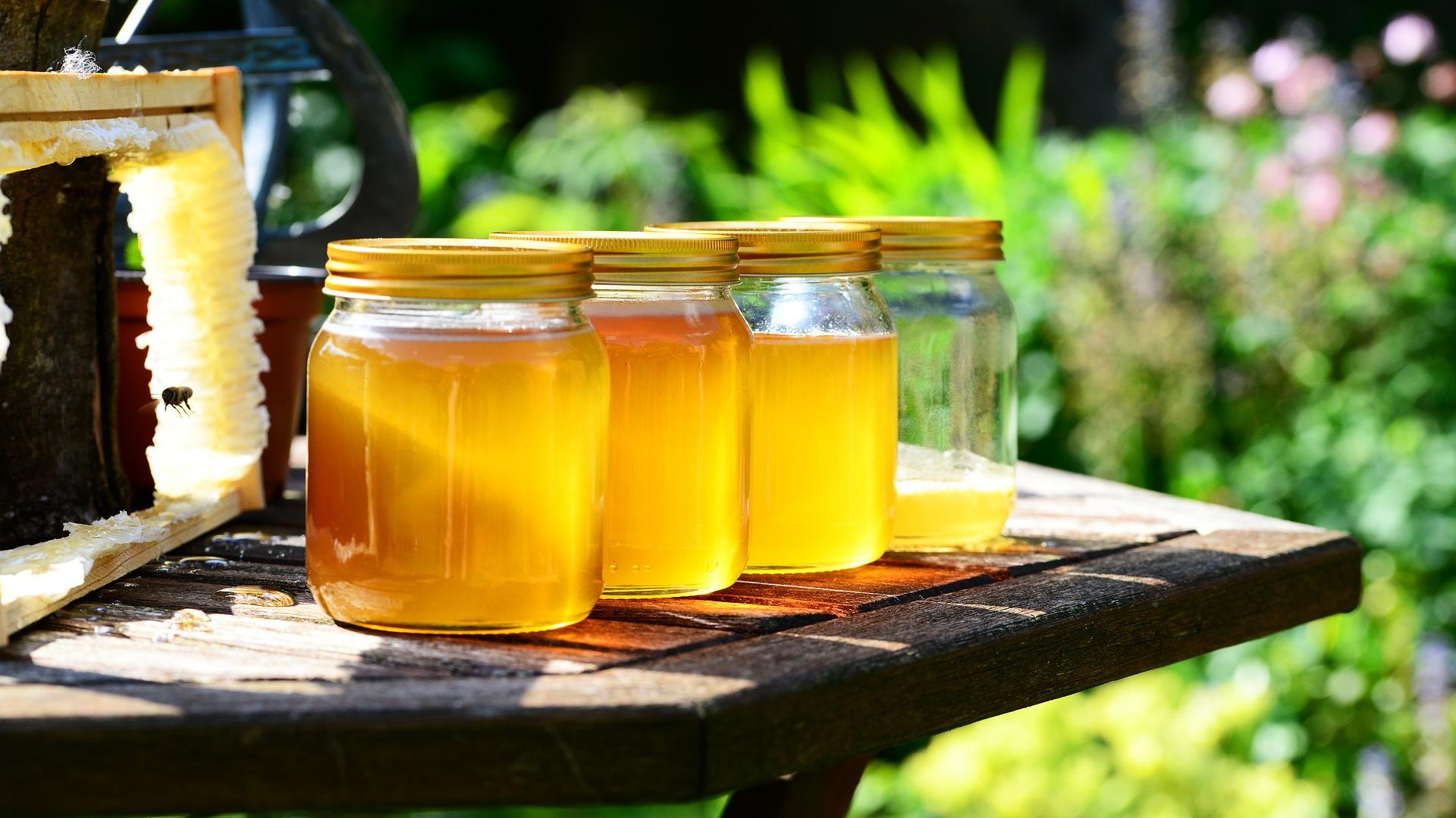 honey-poland