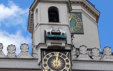 poznan-town-hall-goats