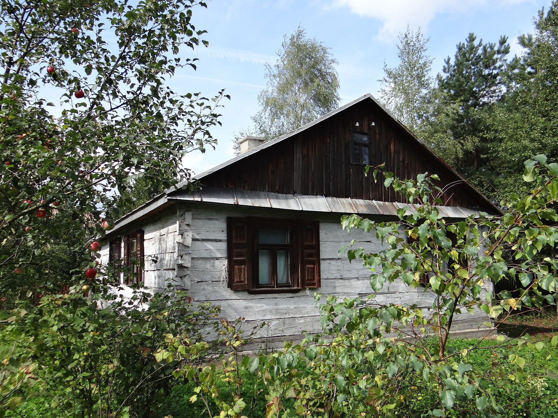 apple-orchard.jpg
