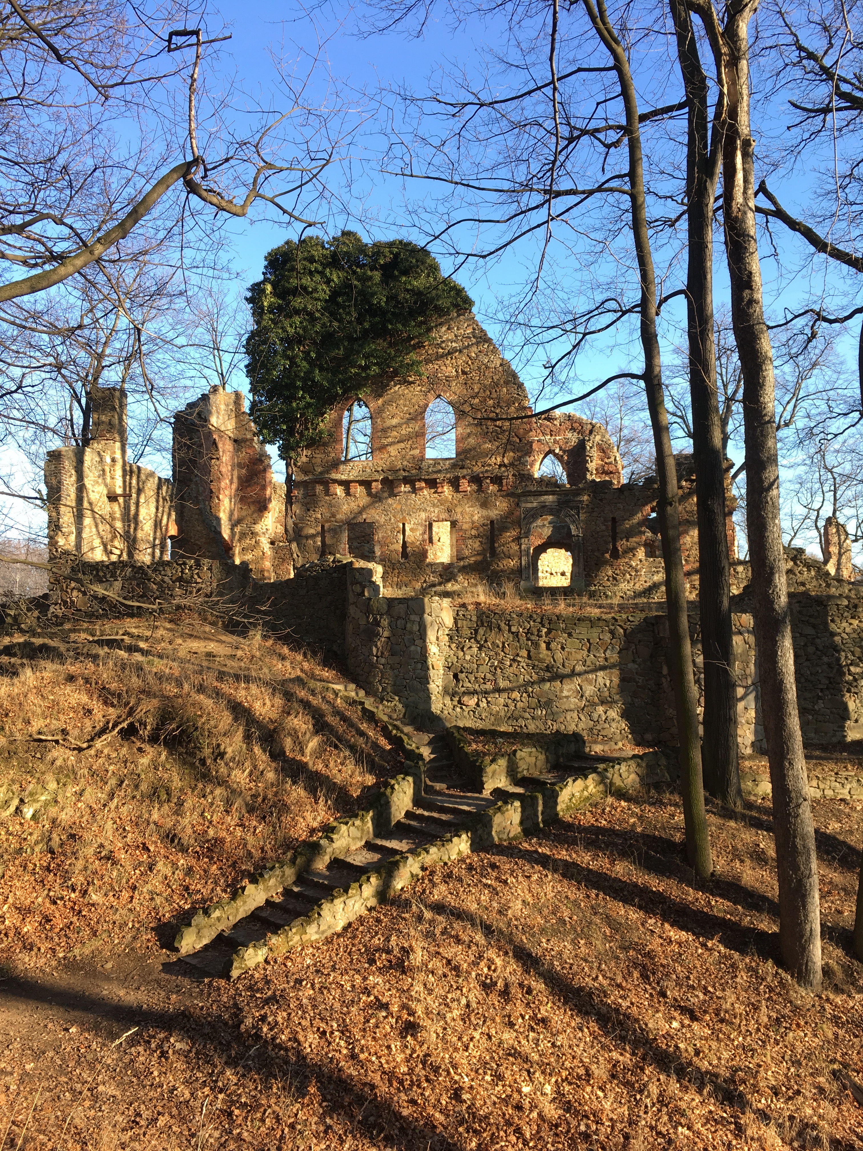 walbrzych-ruins.jpg