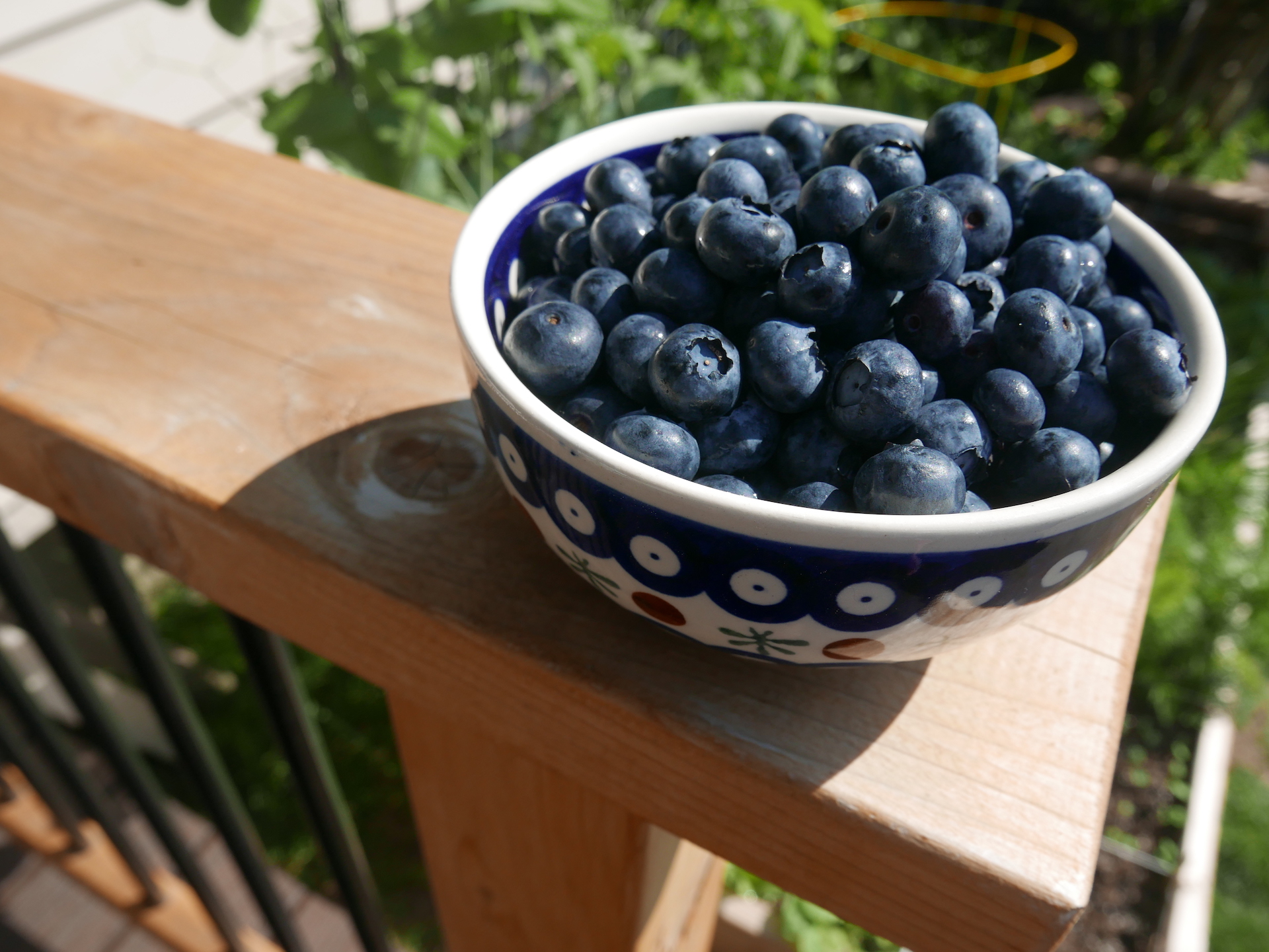 blueberries.JPG