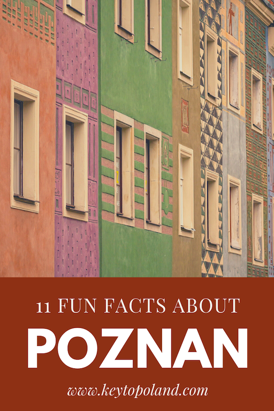 pozanan-fun-facts-pinterest.png