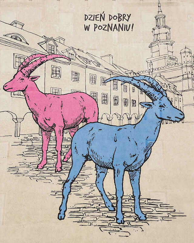 poznan-goats.JPG