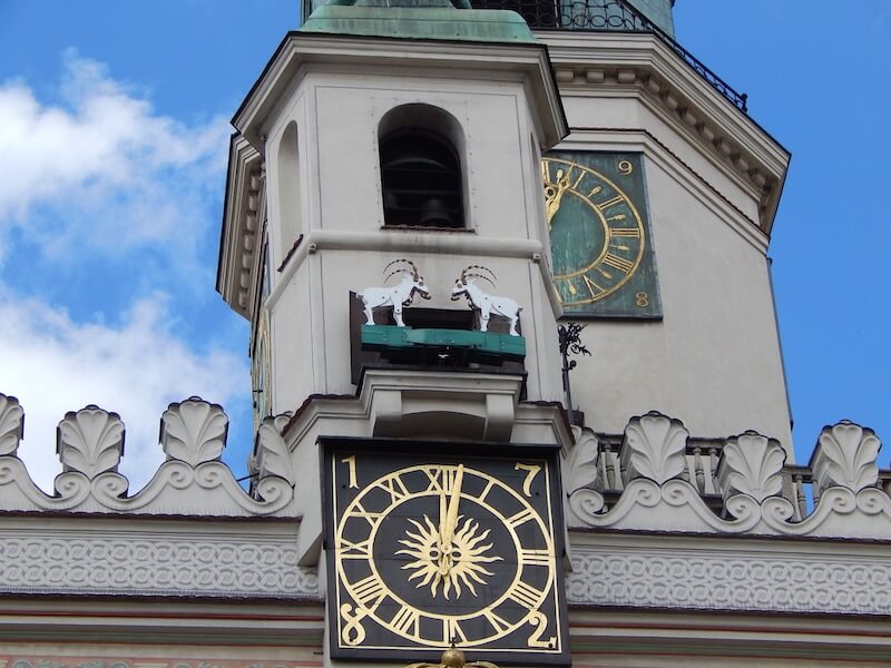 poznan-town-hall-goats.jpg