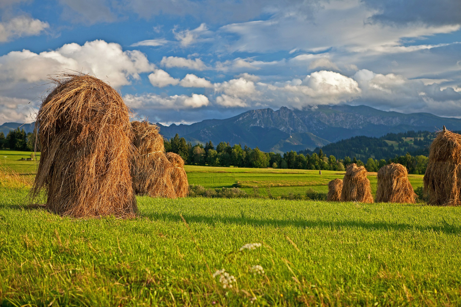 tatra-mountains.jpg
